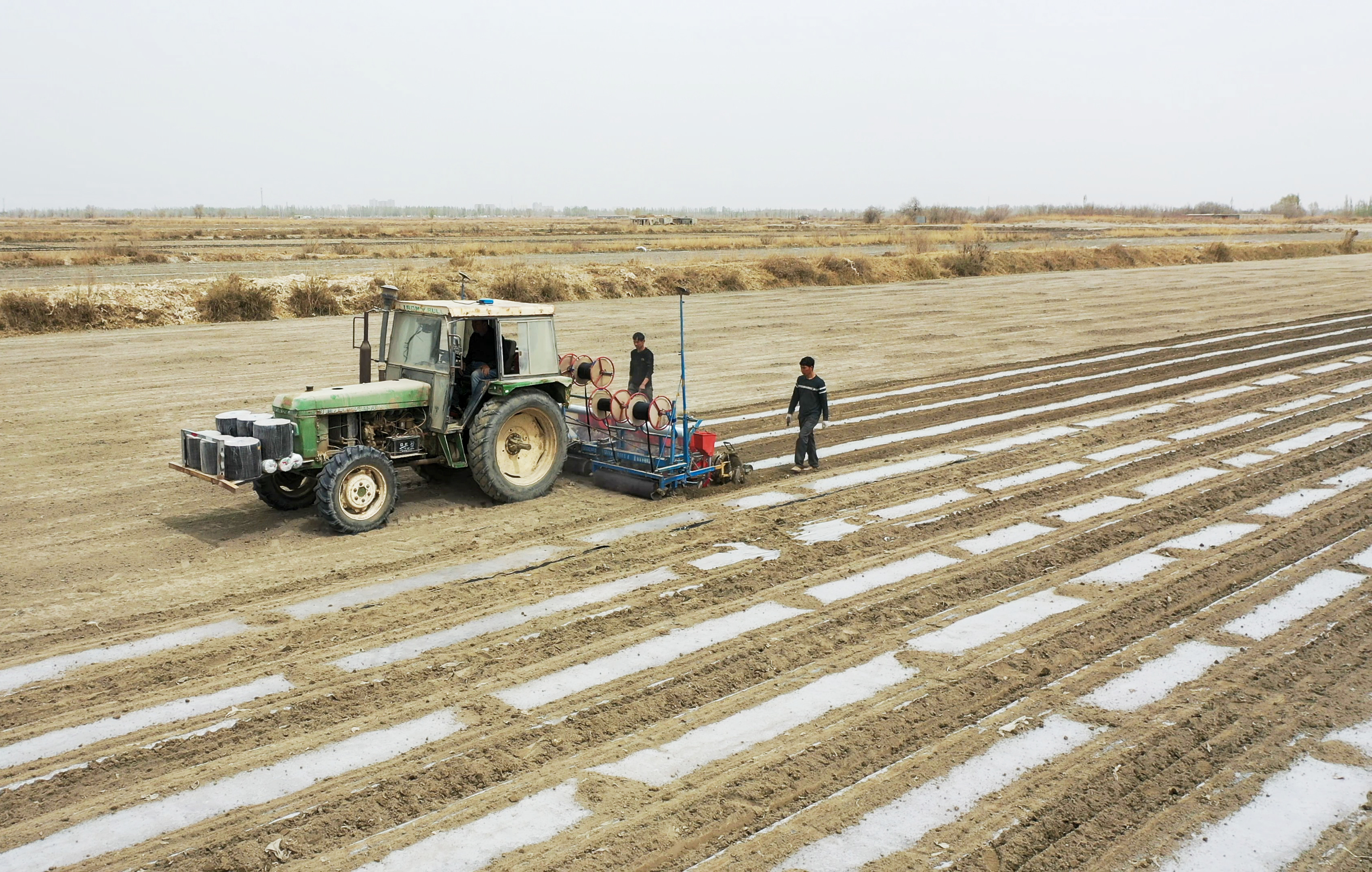 棉花本来的颜色,社会四季的变化