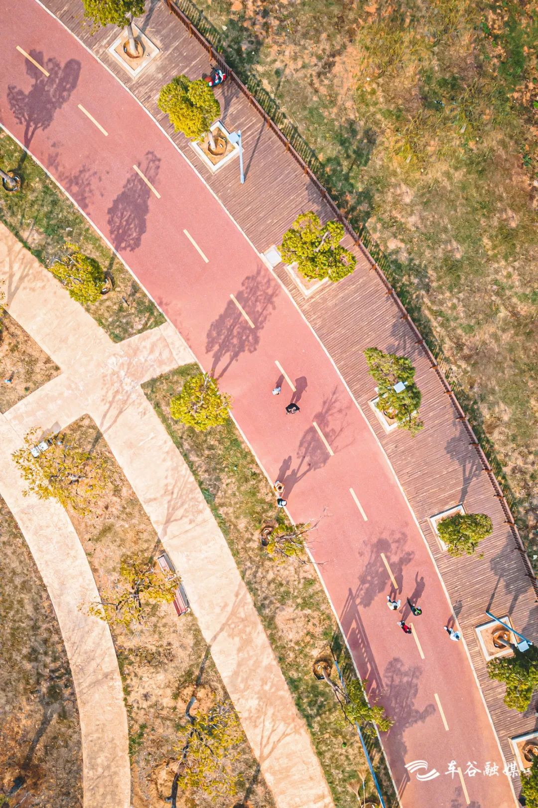 骑车打卡绿道,东湖绿道骑行享受闲暇时光