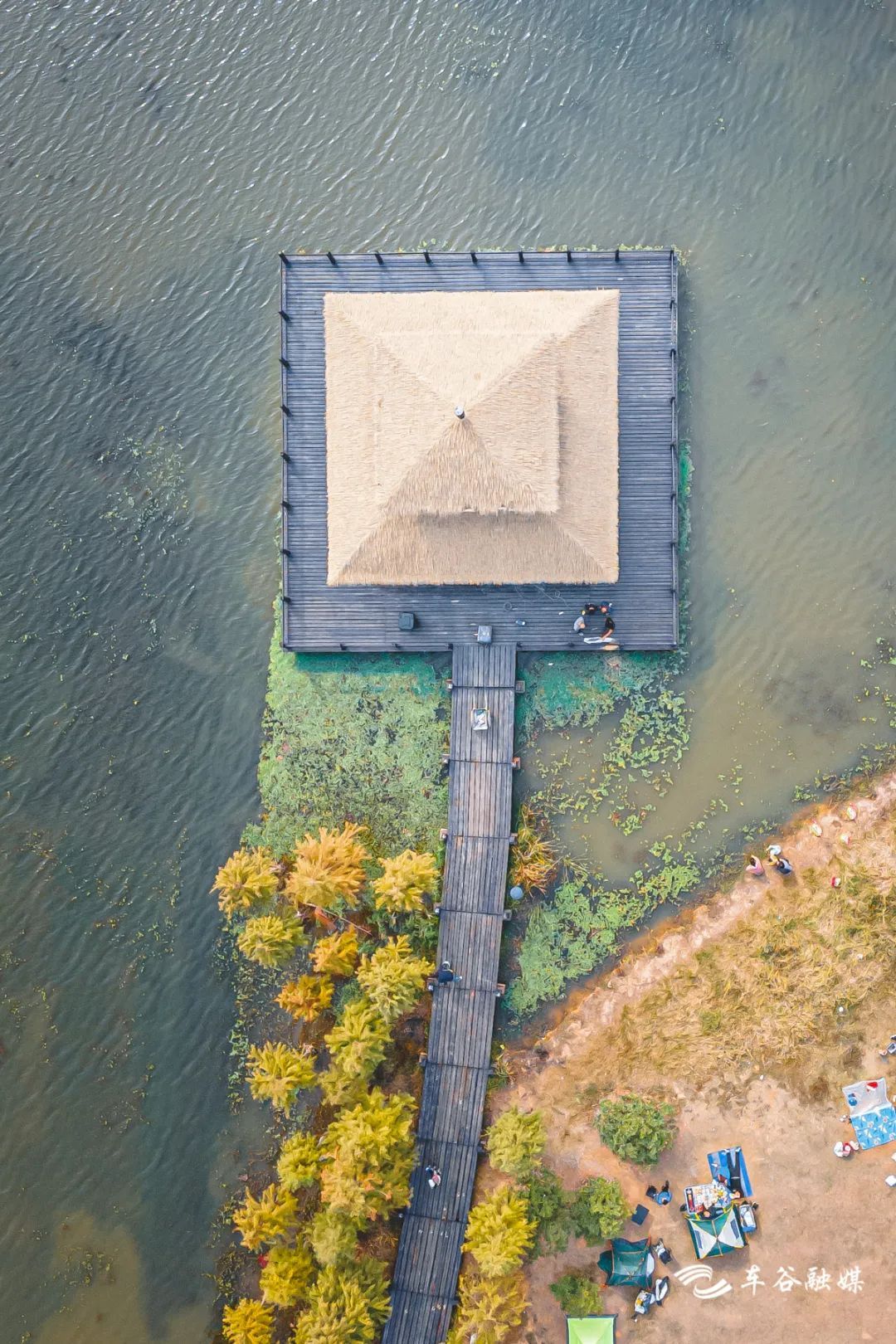 骑车打卡绿道,东湖绿道骑行享受闲暇时光