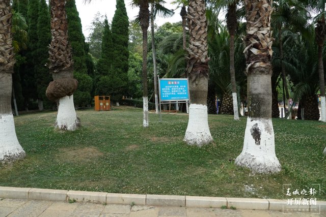 春节昆明景点免费开放,昆明游玩胜地有哪些地方免费开放