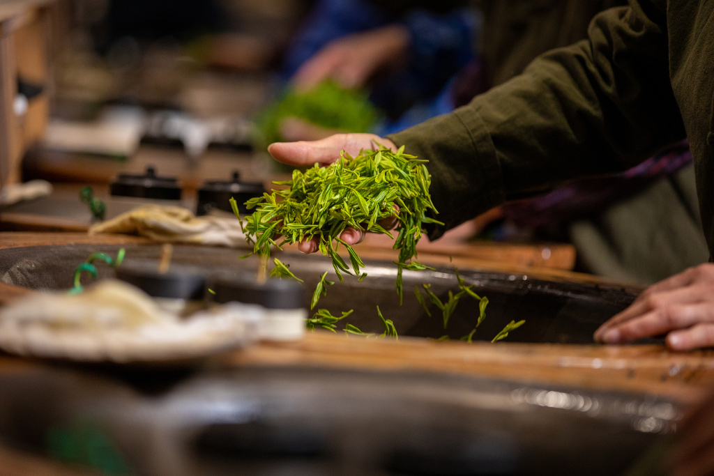 半岛调查,半岛调查指的是什么