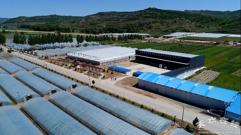 农业产业脱贫增收,秦州区全国农业绿色发展先行区