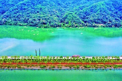 行走美丽乡村寻求绿色发展的感悟,踏上生态美百姓富的康庄大道