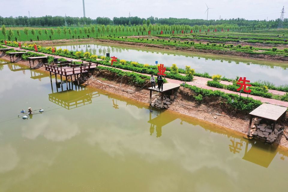 养泥鳅走上致富路,不少人依靠养殖泥鳅走上致富之路