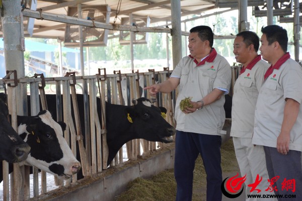 高效生态农业发展模式带来的启示,生态农业发展的新模式