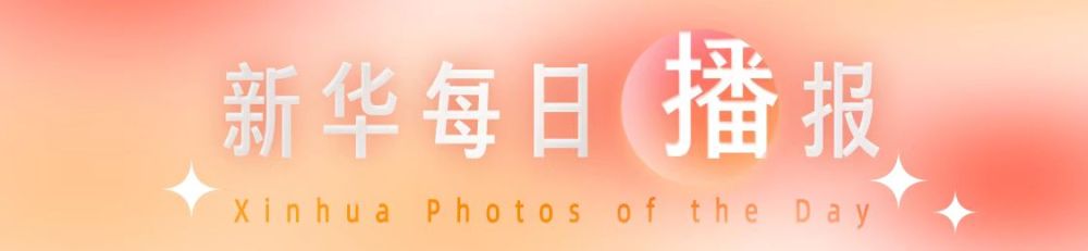 新华每日播报,新华每日播报5月15日