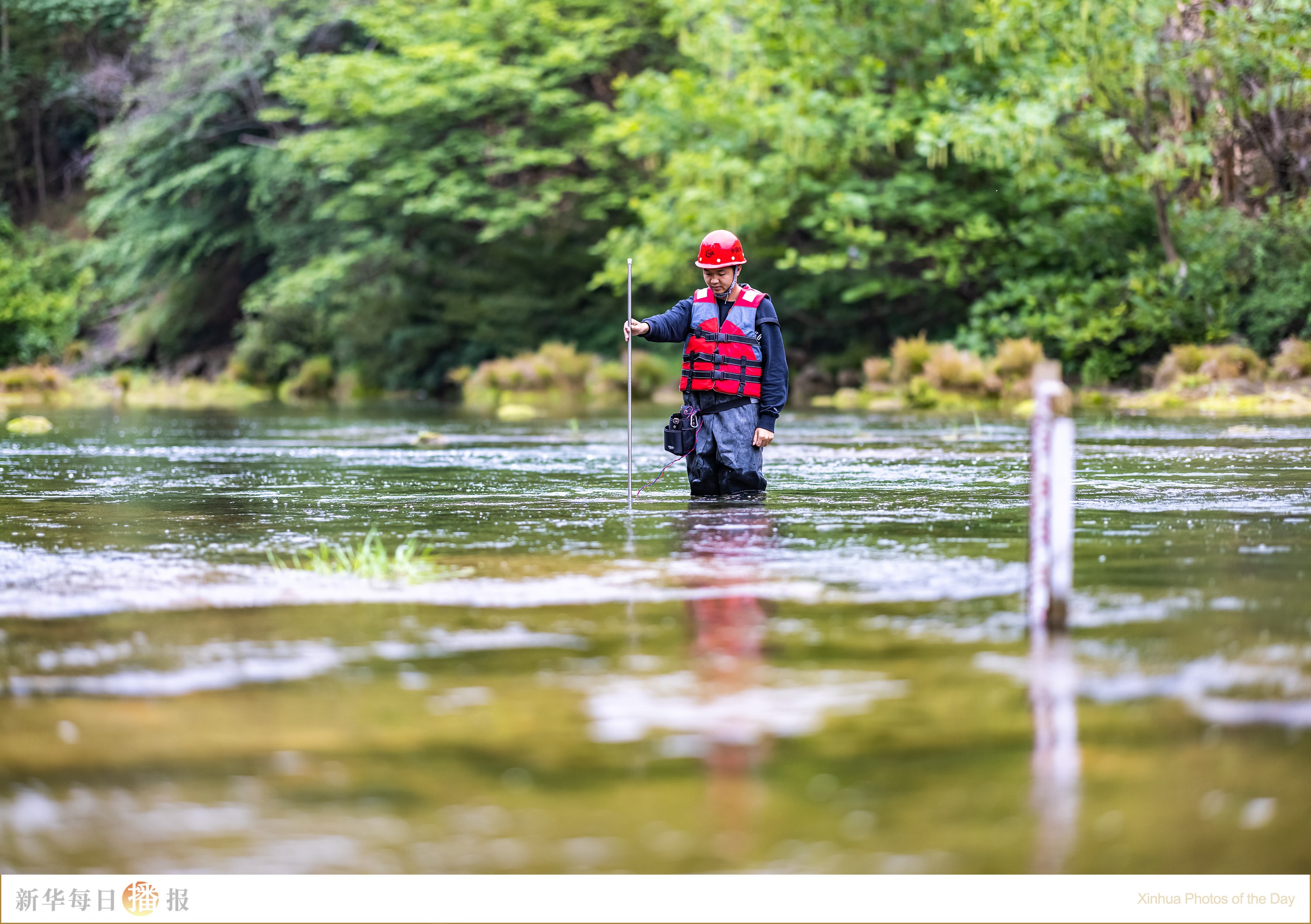 新华每日播报,新华每日播报5月15日