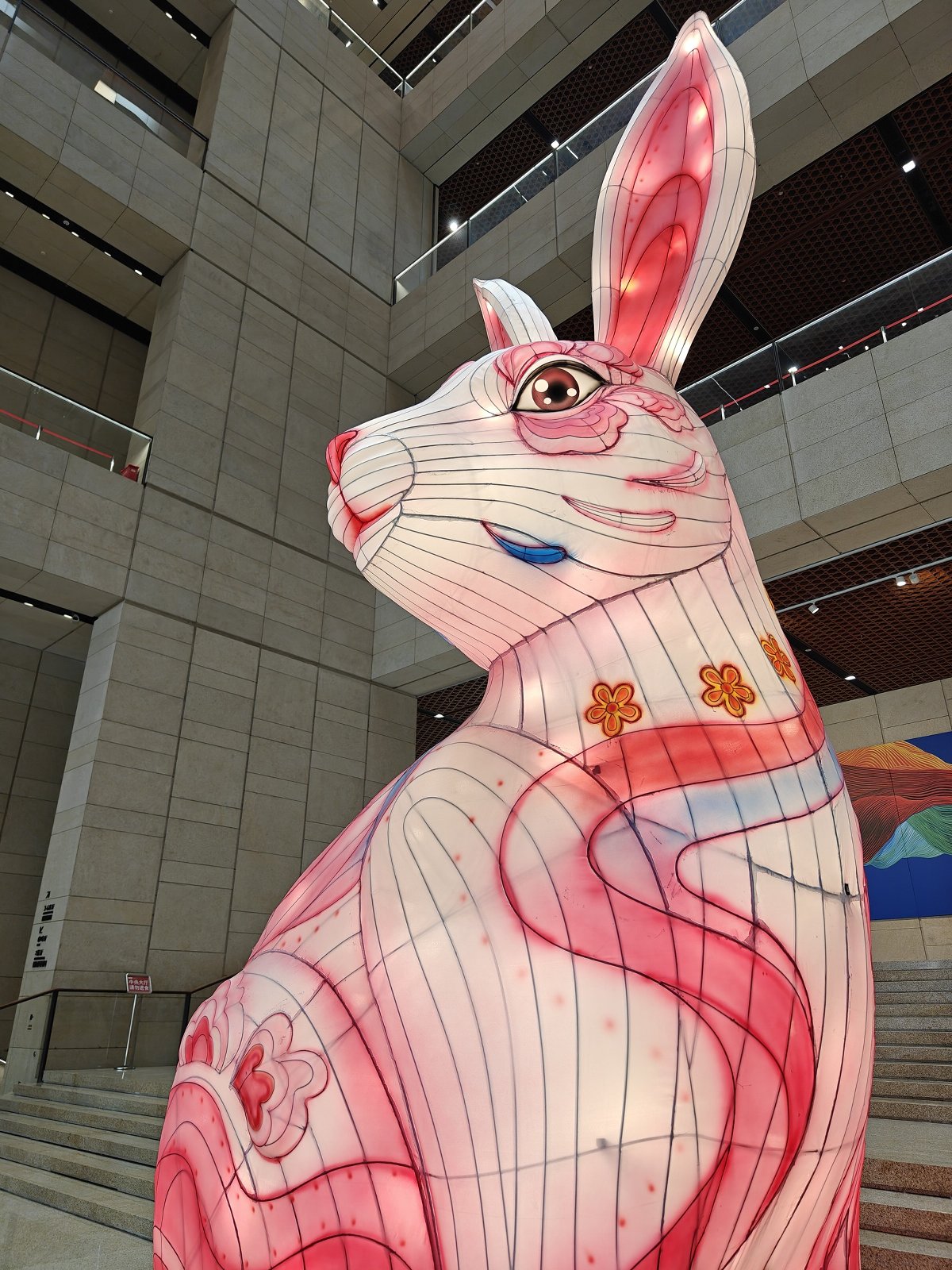 oppofindx6pro,oppofindx6pro和findx6区别