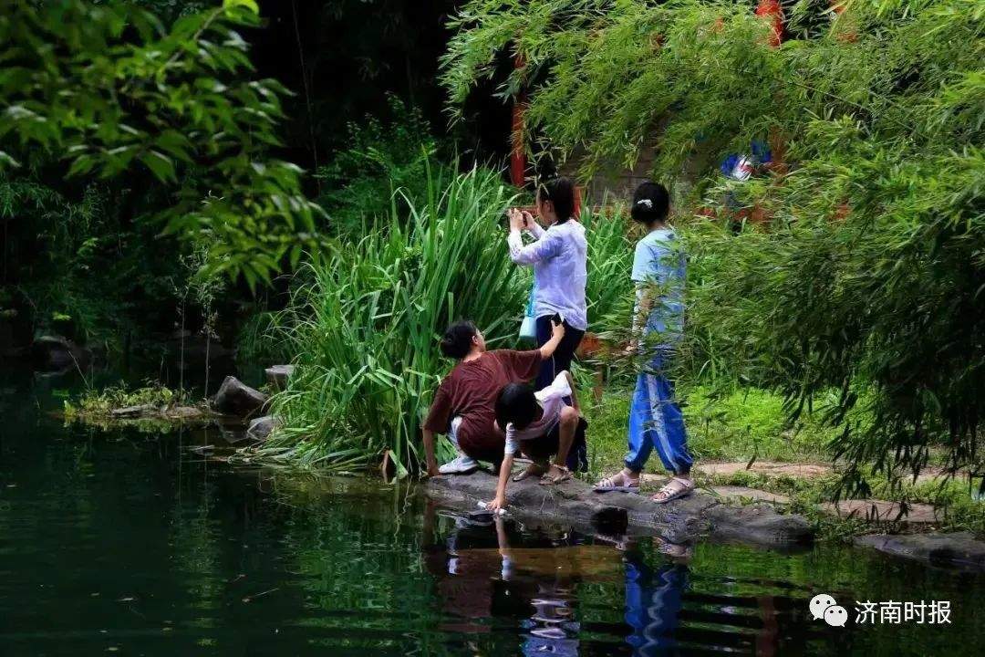 济南免费门票最新通知,济南国庆门票半价