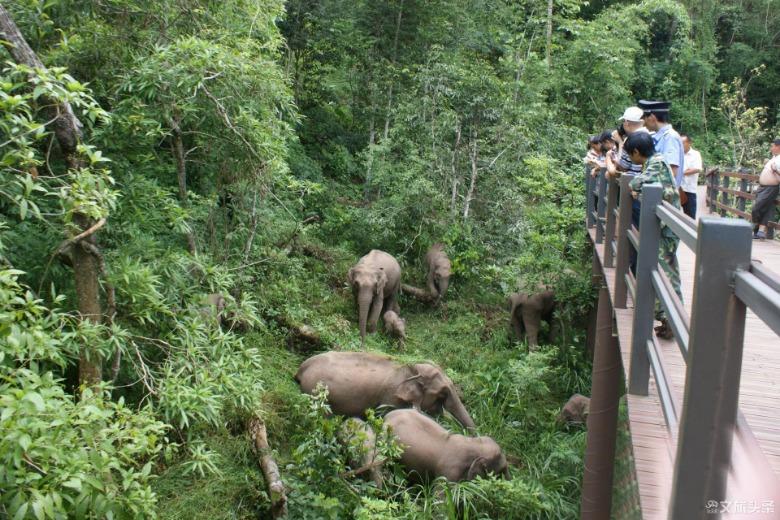 云南旅游日活动,云南省2024年中国旅游日主会场