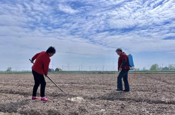 滨海乡村振兴模式,激活乡村振兴新动能