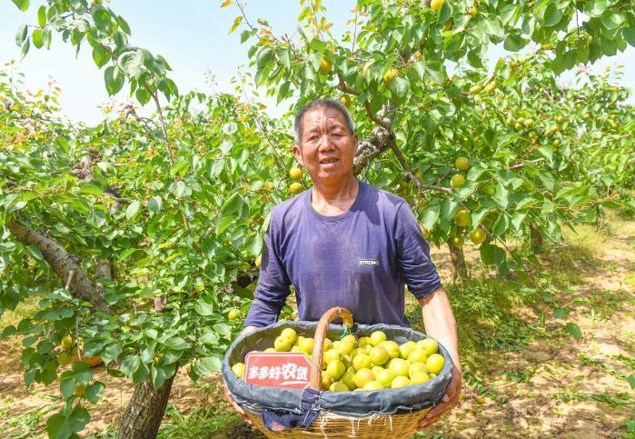 电商卖水果创业之路,农村创业水果电商怎么做