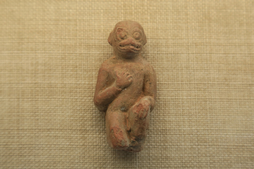 台湾选手获奖举五星红旗,中国台湾运动员领奖