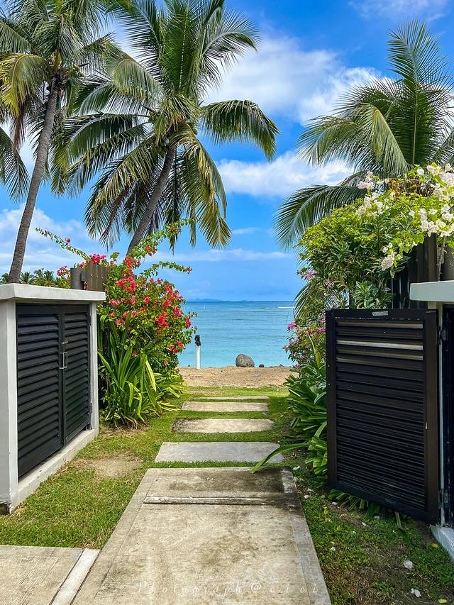 斐济南太平洋之旅,斐济之行游记