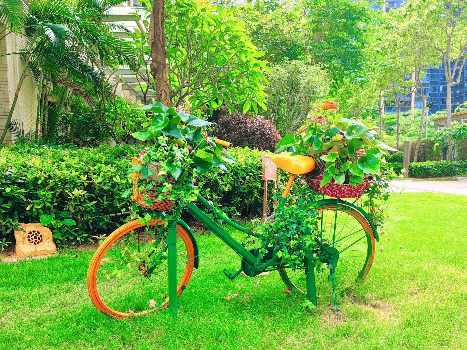 废弃矿区变网红打卡地,废弃桥改造网红打卡点