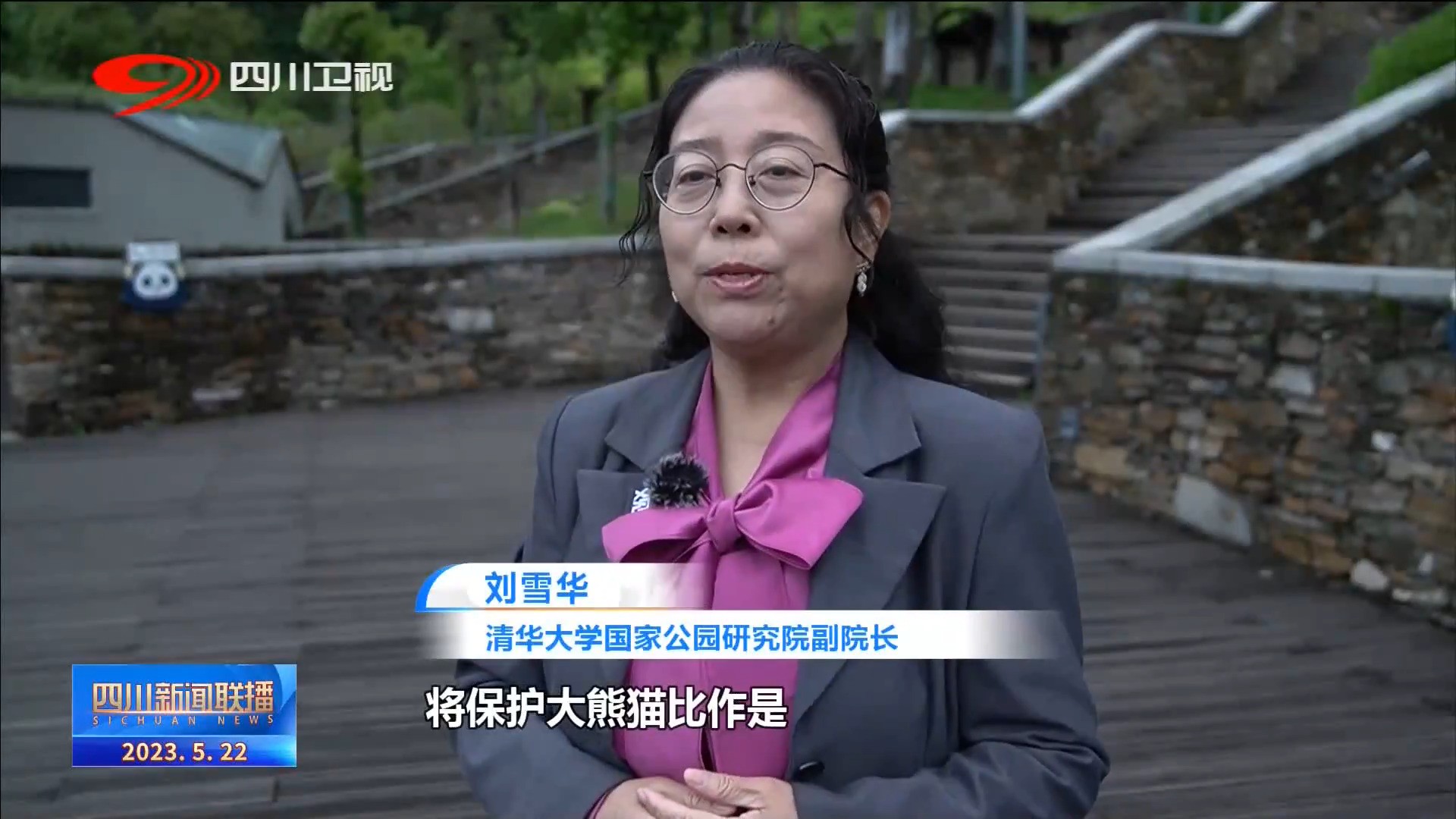 大熊猫国家公园纪录片,四川观察大熊猫直播