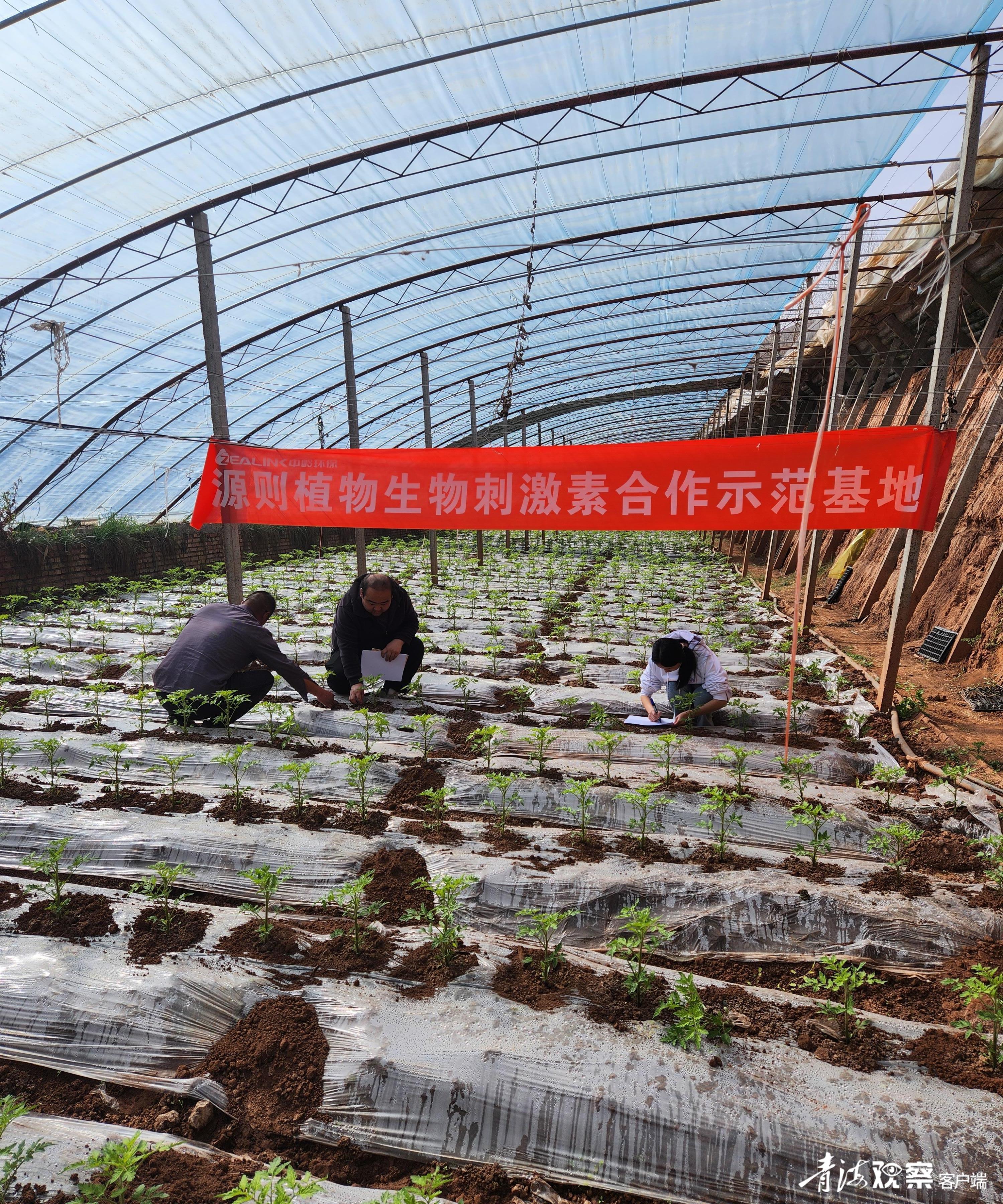 高原小微企业“一团火”点亮创新创业“满天星”