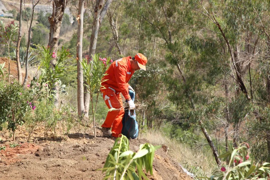 大学有意义的竞赛,一次有意义的竞赛活动