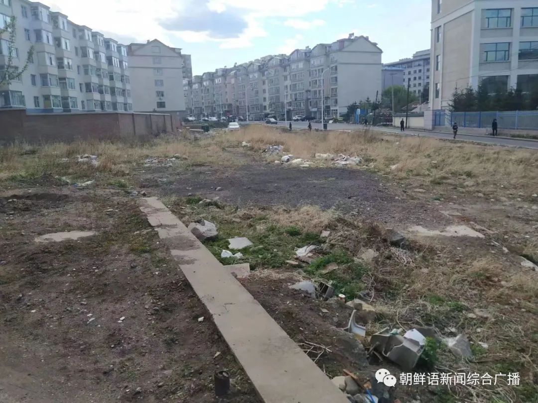 由绿变彩：五月延吉，颜值的渐变