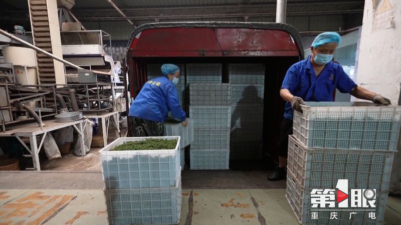 第1眼重庆广电消息,重庆广电官网