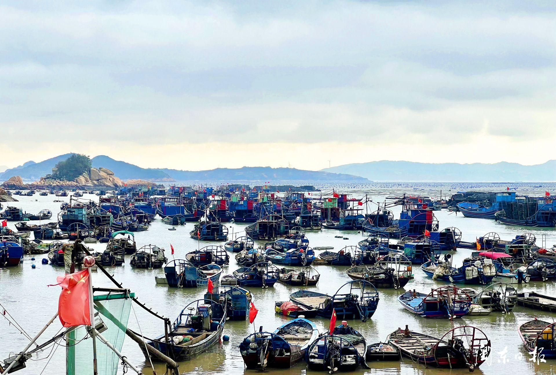 霞浦池澳村：南来北往聚渔村只缘养鲍“钱”景好