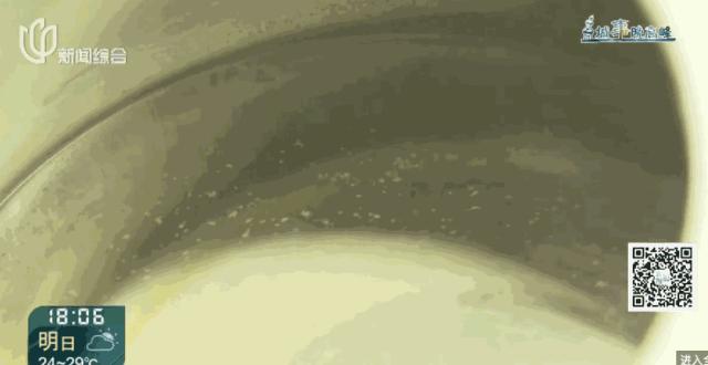 自来水烧开后有漂浮物？上海多个小区都遇到了！