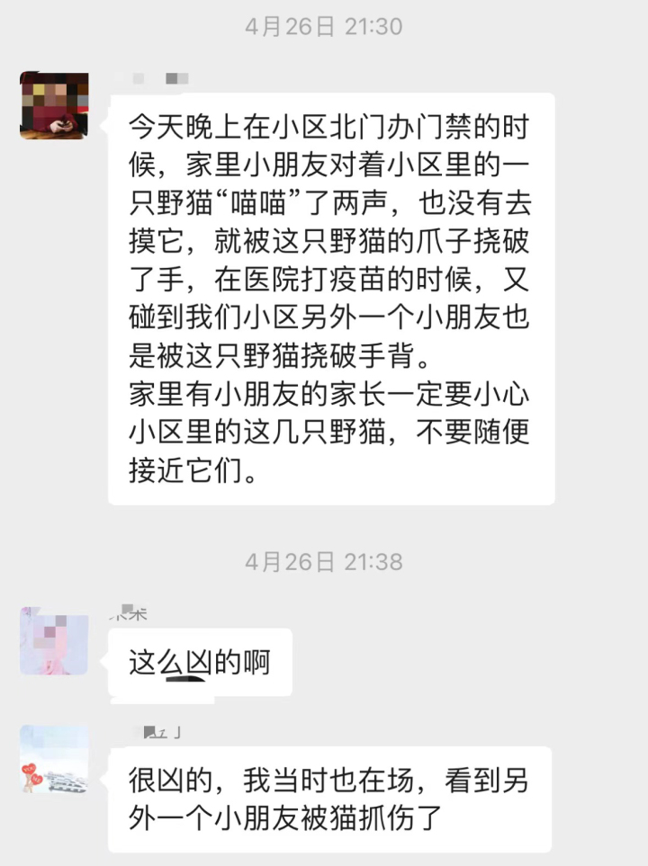 野猫抓伤小孩,抓伤的小猫