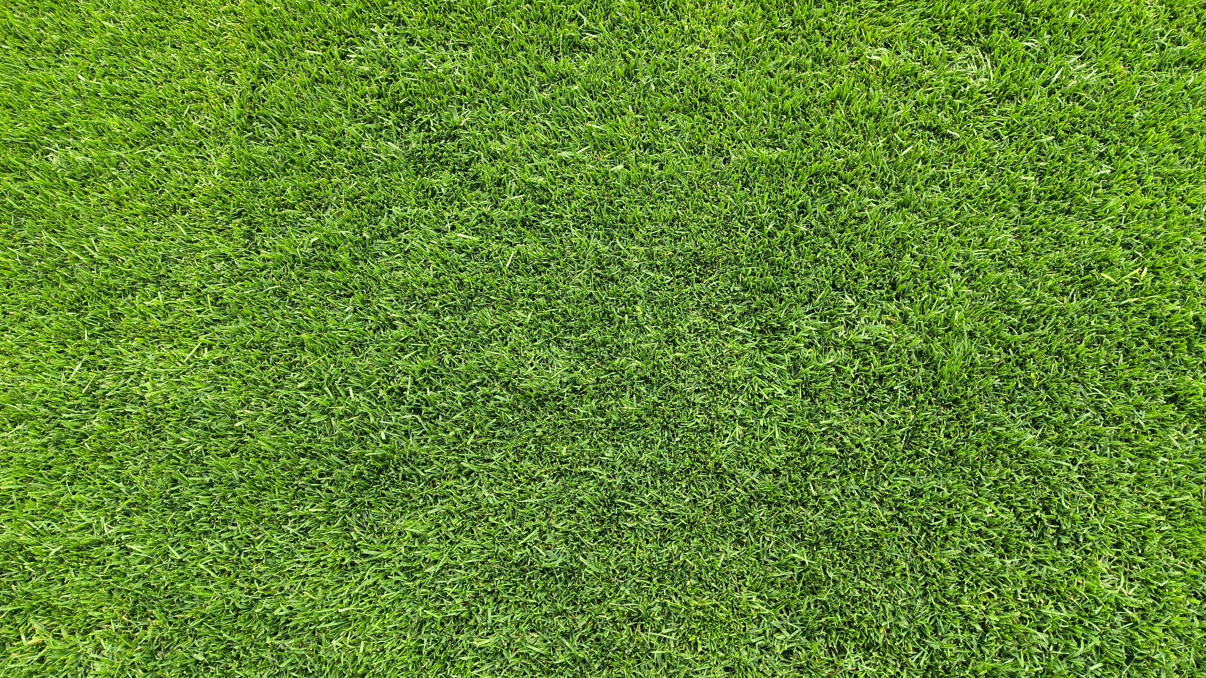 泰达足球场王者归来,泰达足球场再投用后首场中超比赛