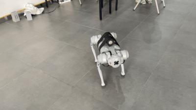 杩藉厜鐨勬満鍣ㄤ汉,杩借鏈哄櫒鐙椾簹杩愪細