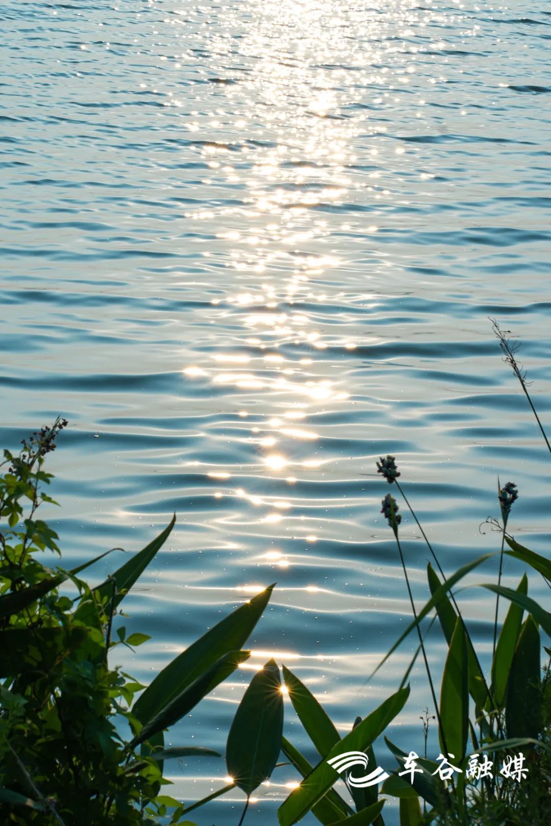 武汉经开区车谷中心城,武汉经开区车谷科技产业园