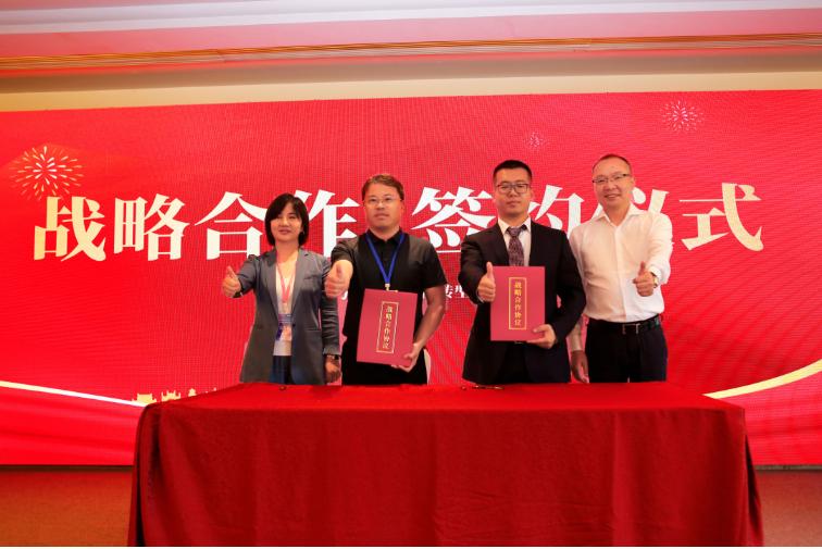 金盘科技集团,中国金盘科技