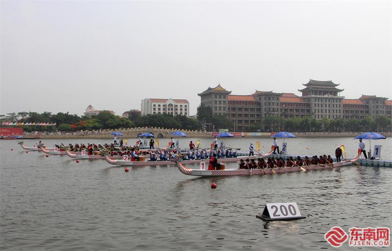 厦门集美龙舟参赛队伍,厦门集美划龙舟比赛视频
