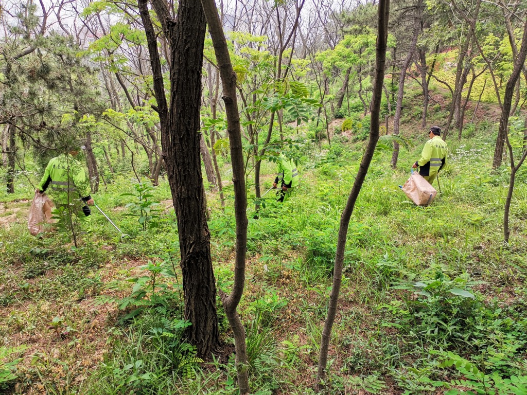 广东闹市发现巨蟒,深山现巨蟒