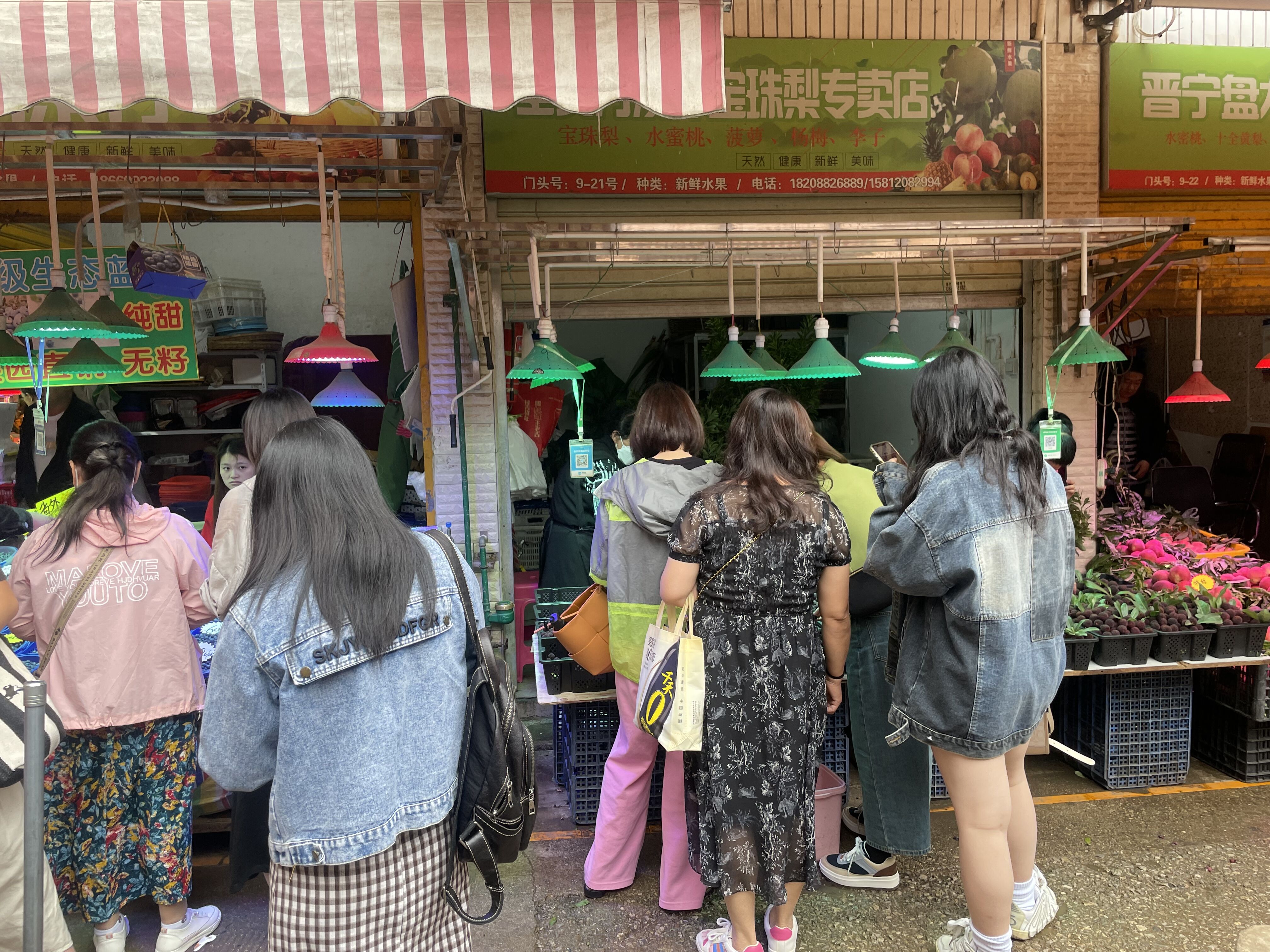 荔枝香蕉山竹杨梅,车厘子榴莲杨梅荔枝山竹