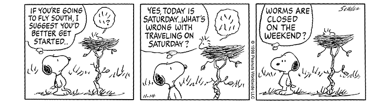 史努比花生大电影还有第二季吗,史努比花生大电影好看吗