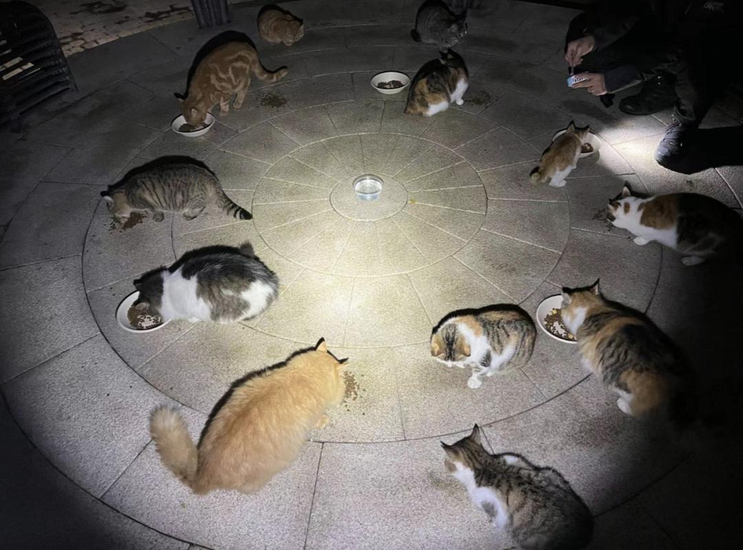 专访《PartyAnimals》制作人罗子雄：做庸俗的游戏我会看不起自己