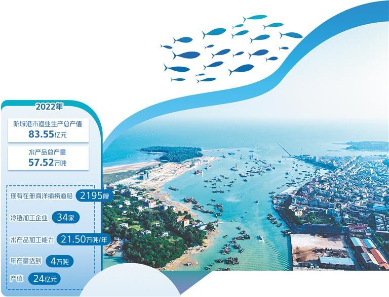 防城港市企沙渔港经济区建设进展,防城港国家级沿海渔港经济区项目