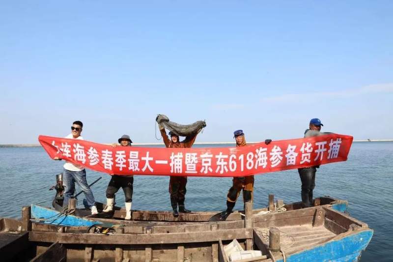 大连海参价格多少一斤是真的,大连参行家淡干海参多少钱一斤