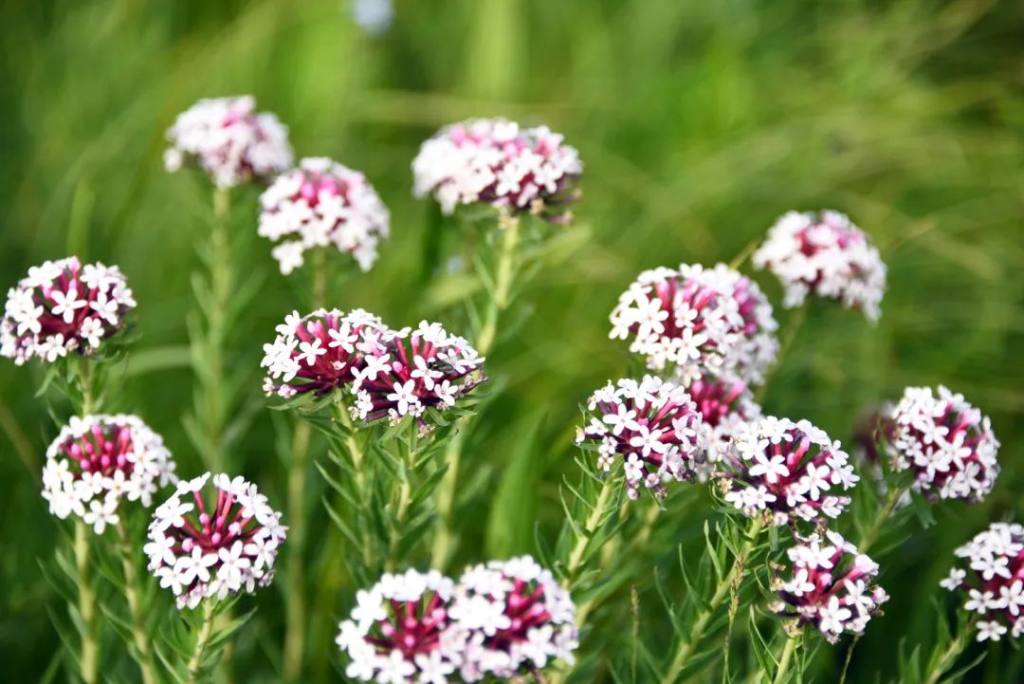 周末到河北畅游大美燕赵,周末走进河北