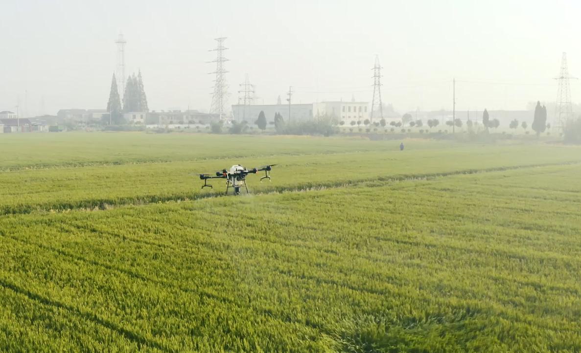 供销合作社的改革与发展中央,基层供销合作社简介