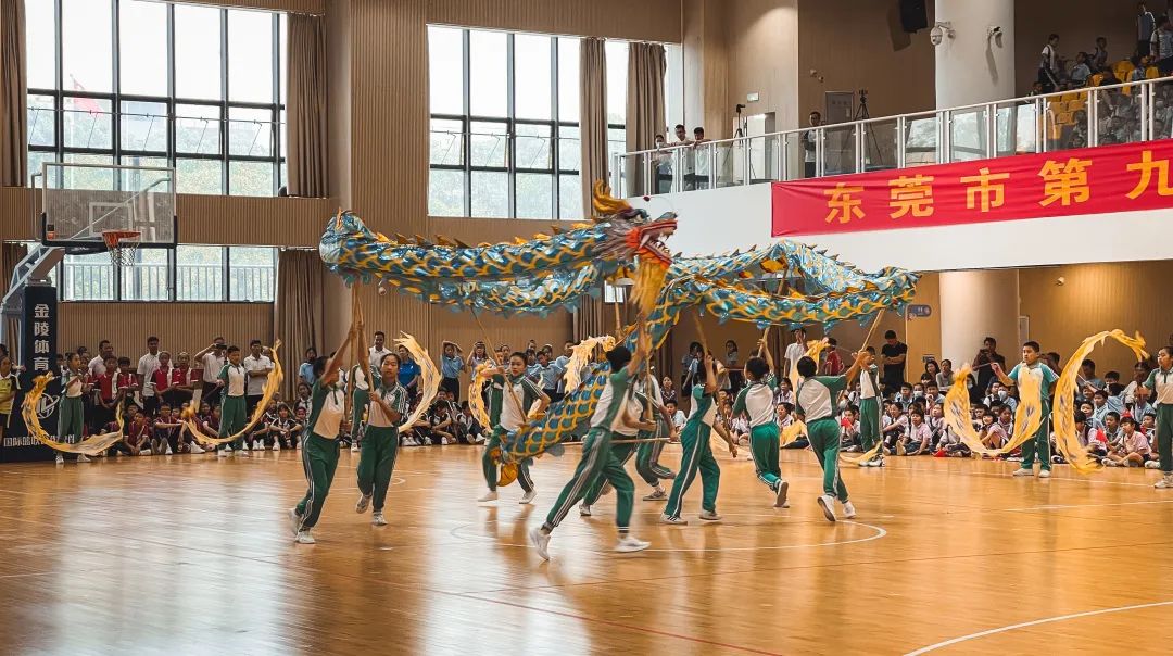 东莞广东青少年风采大赛,东莞中小学运动会