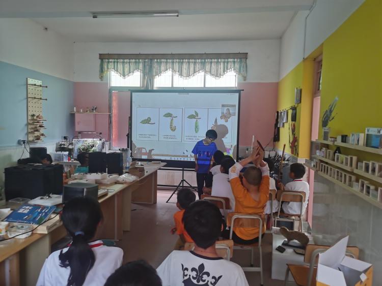 点赞近10万！小学生做的裙子，火了！网友喊话“上链接”