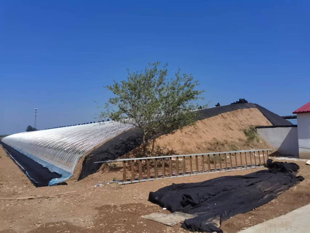 走一线，看经济丨记者探访“三个零”北京平谷设施农业项目：看“新农业”如何种出健康蔬菜、带动农民增收