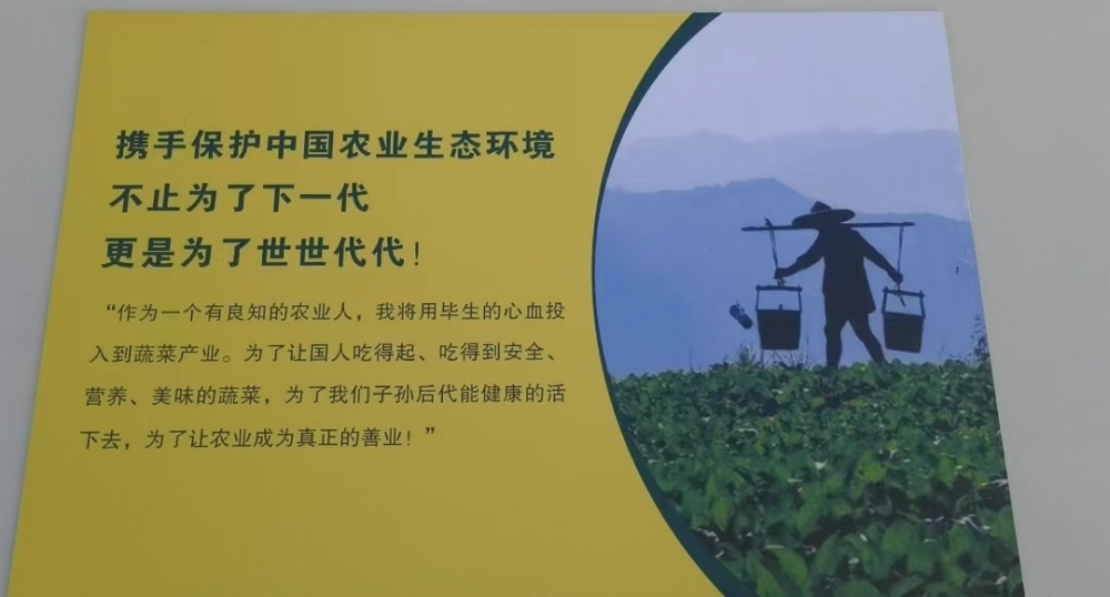 走一线，看经济丨记者探访“三个零”北京平谷设施农业项目：看“新农业”如何种出健康蔬菜、带动农民增收