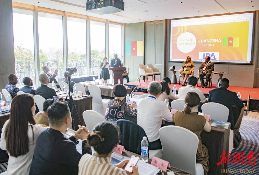 强合作、促共赢！喀麦隆经济论坛在长沙举行