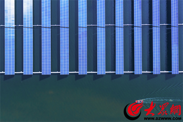 滨州市紧抓“三品一标”创建，助力对虾产业跑出“加速度”