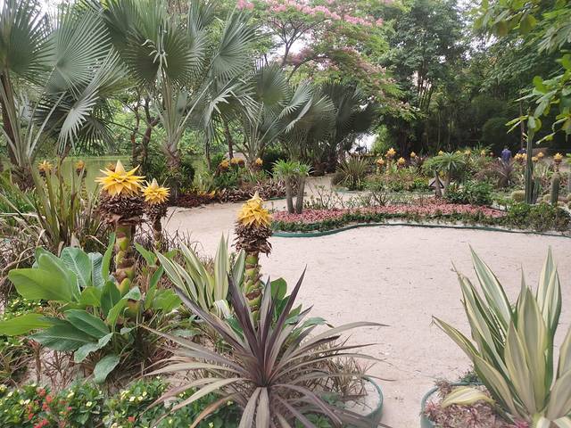 从西双版纳到老挝琅勃拉邦