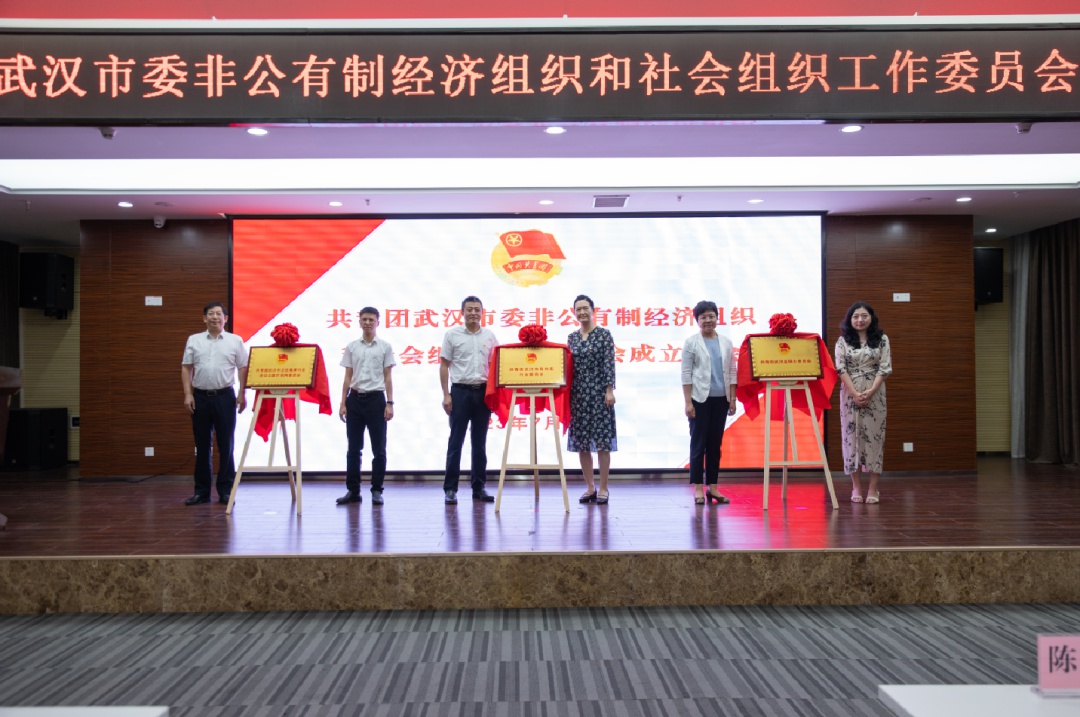 非公经济组织共青团,非公有制经济团工委