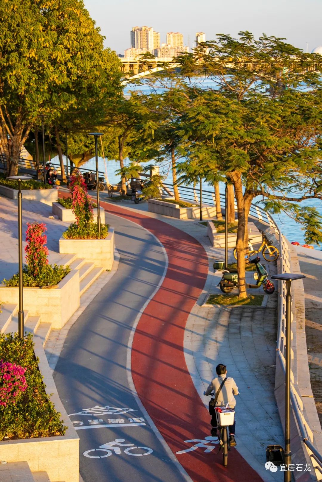 东莞暑期旅游推荐,东莞半日游最佳景点