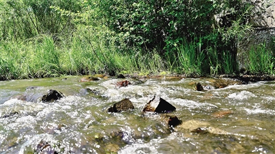 【凝心聚力谋发展且以诗意共远方】绿水描秀色青山作画屏——走进“油画之城”写生地鄂温克族自治旗红花尔基镇